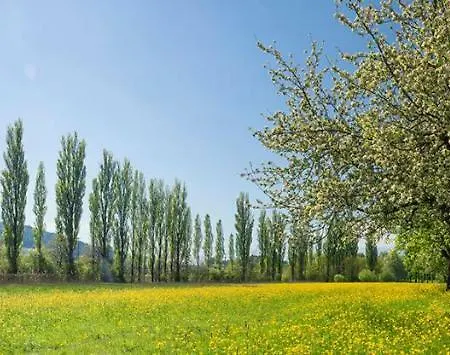 Direkt Am Bodensee Apartament *