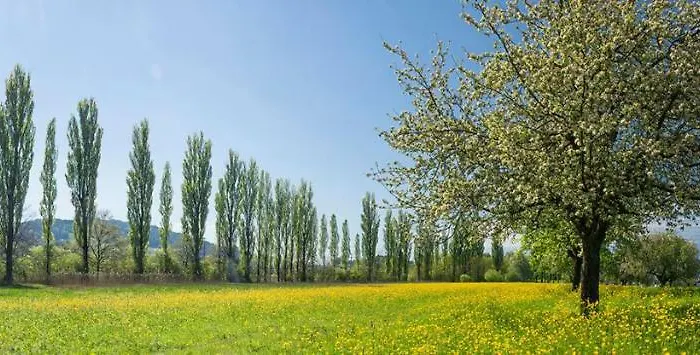 Direkt Am Bodensee Apartment *