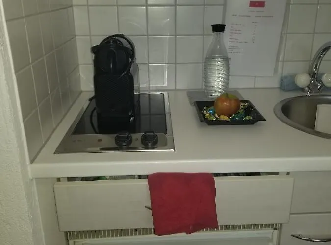 Direkt Am Bodensee Apartment